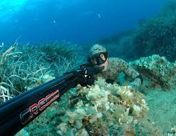 Se celebr&oacute; el Abierto Reino de Navarra de Pesca Submarina